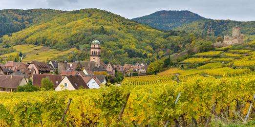 Alsace Three Day Biking Trip:  See the village of Kaysersberg, France from the surrounding hills.