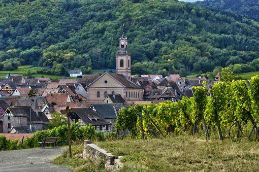 The road leading to the town of Riquewihr in Alsace.