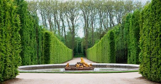 A golden statue and fountain in the Versailles garden.