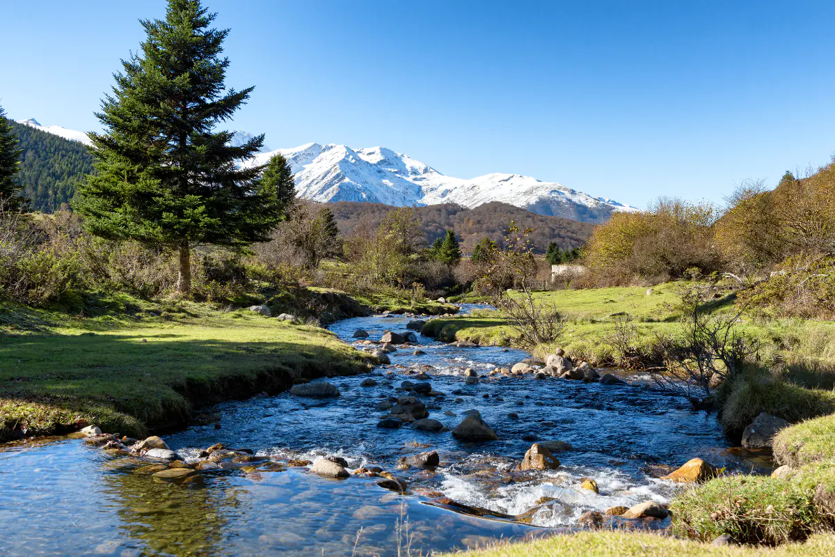 A stream at the foot of the Midi-Pyrenees Mountains in France.
