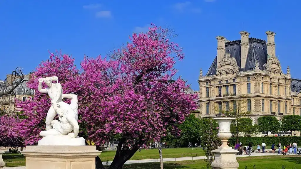 The Tuileries Gardens with the Louvre in the background
