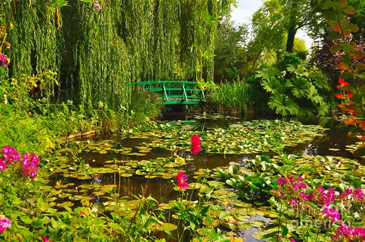 Giverny bike tour - See the famous bridge in Monet's lush garden 