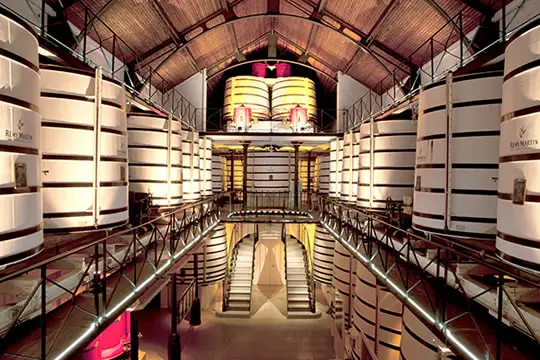 Cognac Day Tour: see the original distillery at Remy Martin.