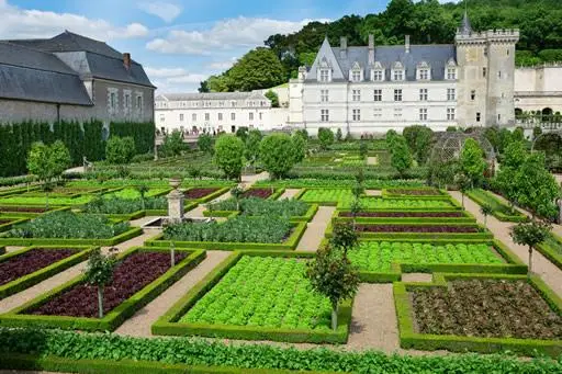 The gardens attached to the Villandry chateau in the Loire Valley.