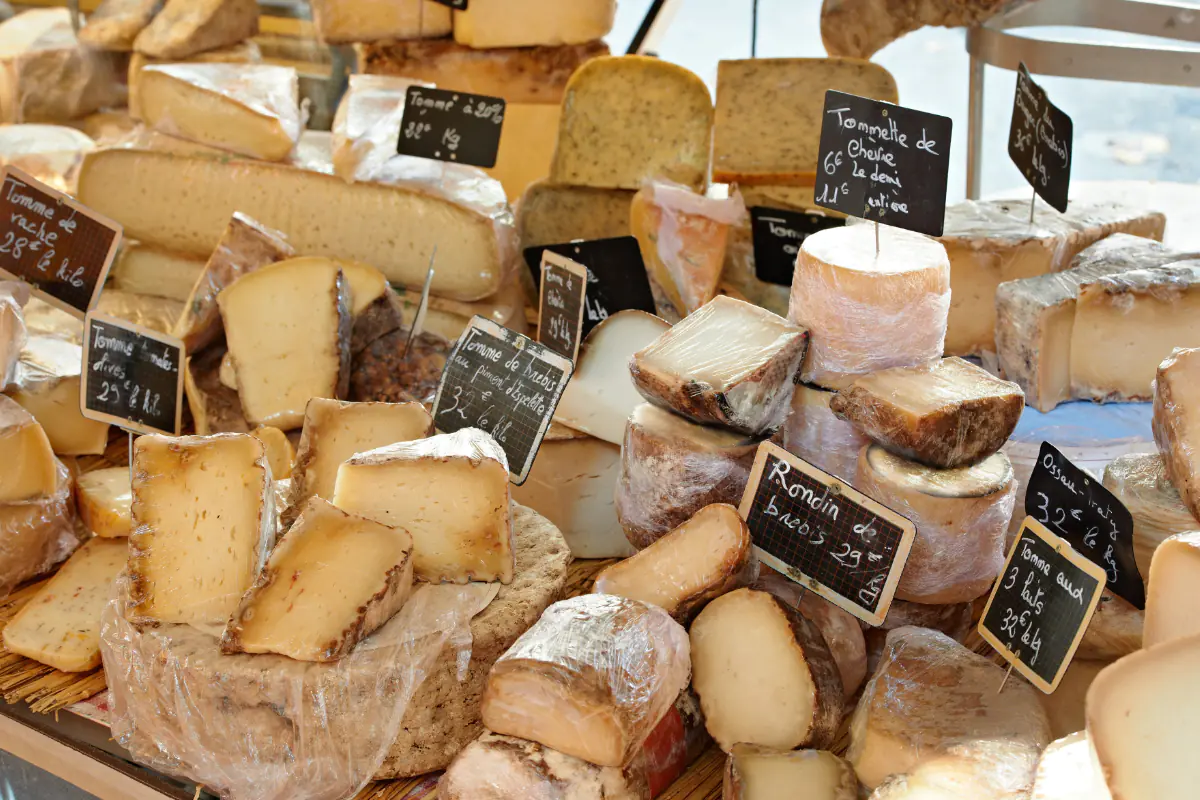 Bordeaux Food and Wine Day Trip: delicious French cheeses