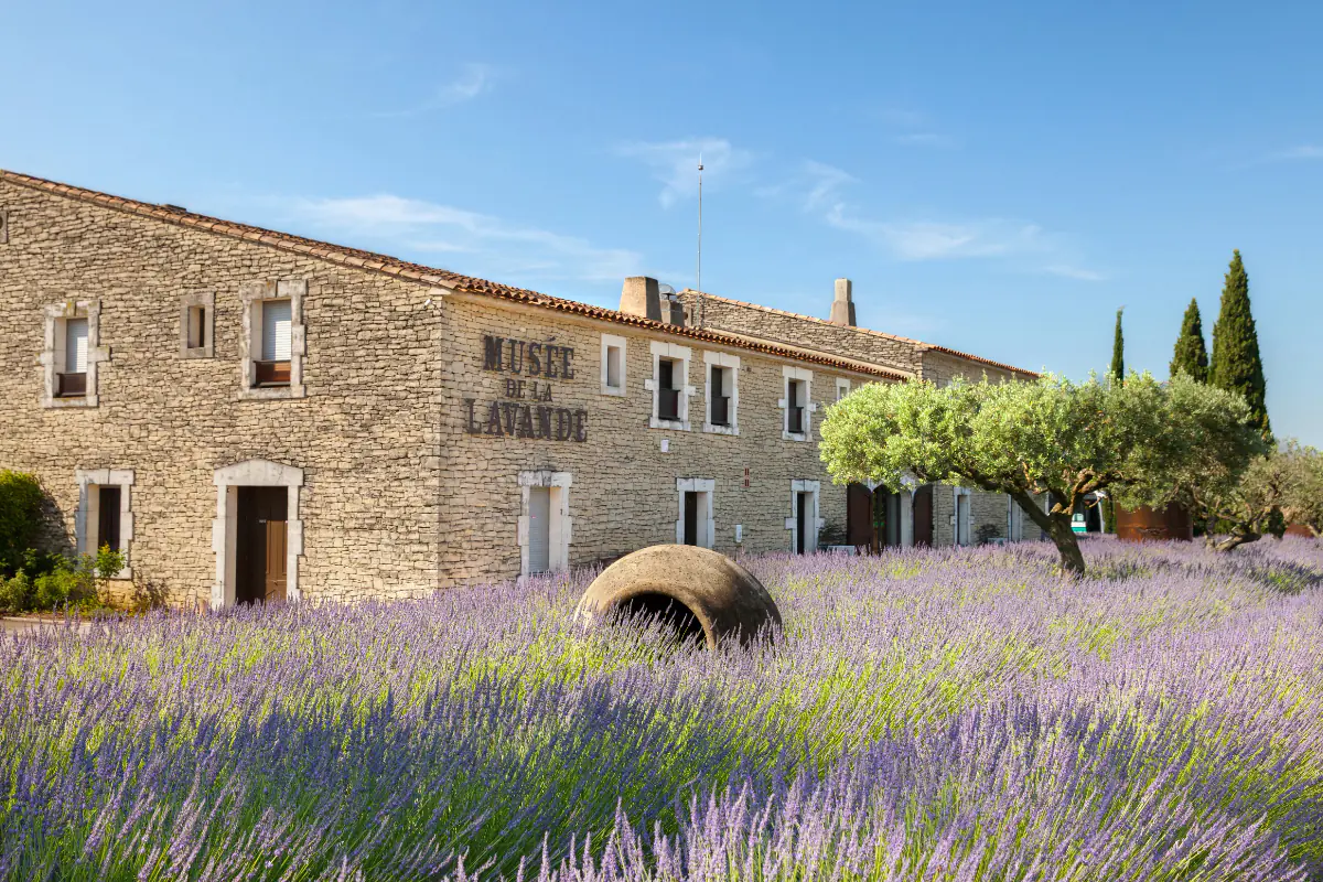 The Lavender Museum in the village of Coustellet