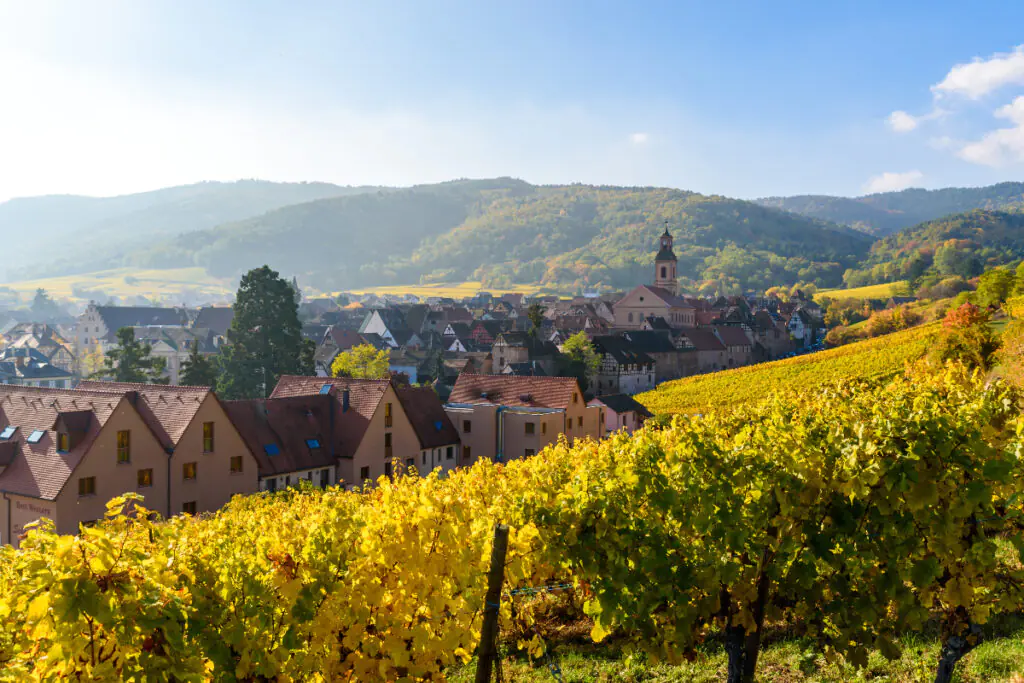 Paris to Strasbourg Day Trip: The beautiful town of Riquewihr in Alsace.