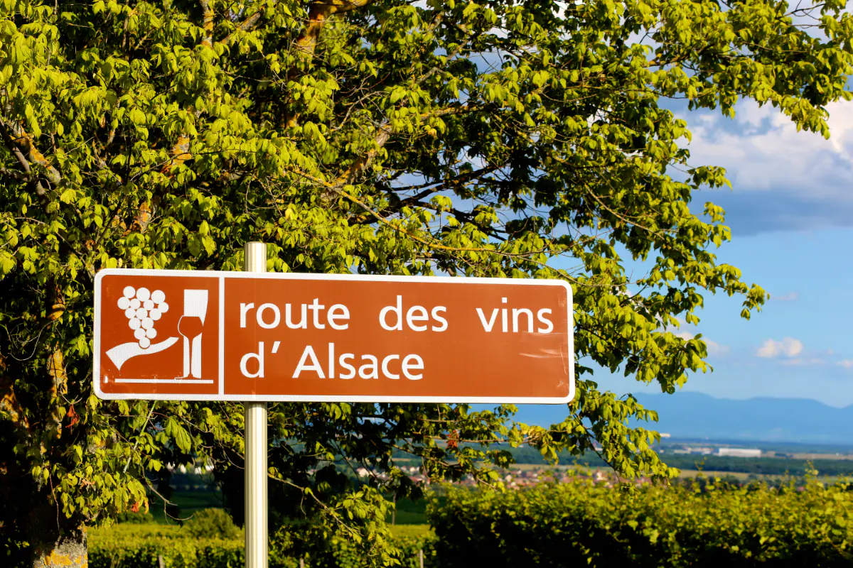 Alsace Wine Tour from Paris.