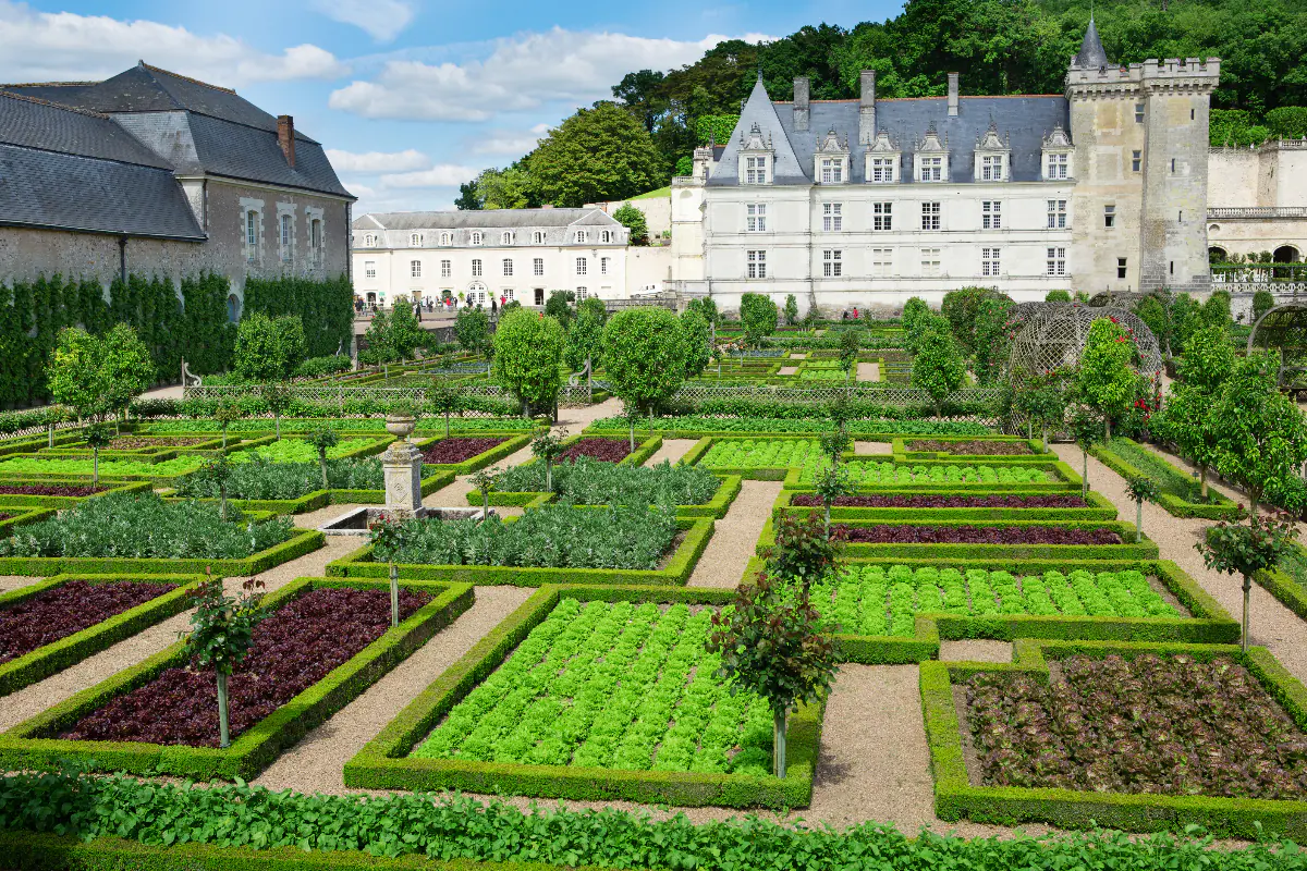 Château de Villandry and its famous Renaissance gardens
