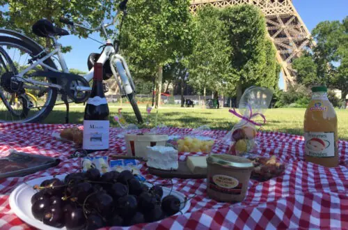 Family enjoying a picnic on a green lawn during the Paris Electric Bike Tour