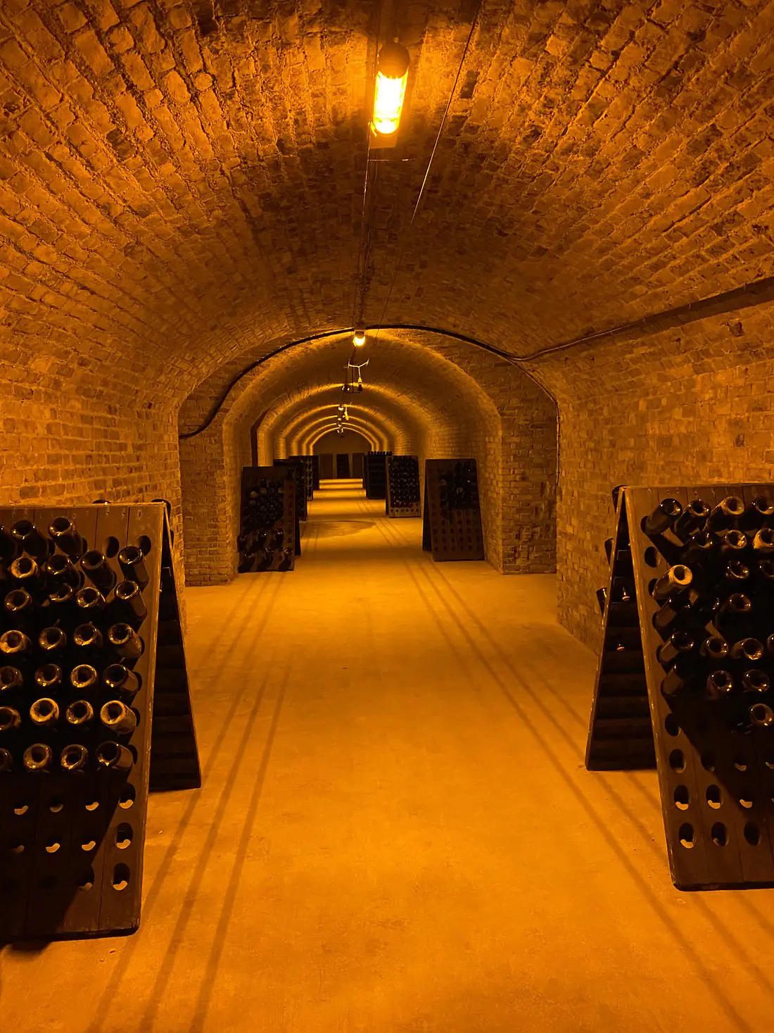Champagne aging in well insulated cellars.
