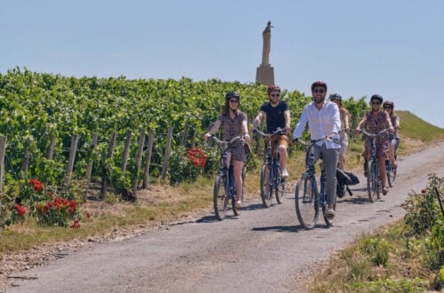 Cyclists riding through Champagne vineyards