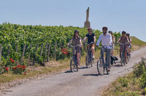 Cyclists riding through Champagne vineyards