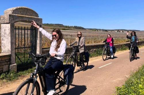 Cycling through Burgundy vineyards
