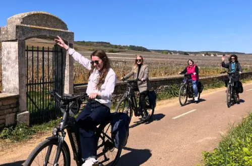 Cyclists biking through the Provence countryside