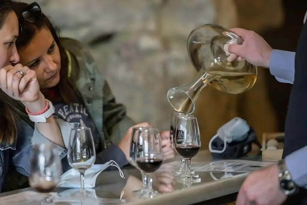 Loire Valley Wine and Castle Tour - Visit two historic Loire Valley castles plus a local wine cave tour