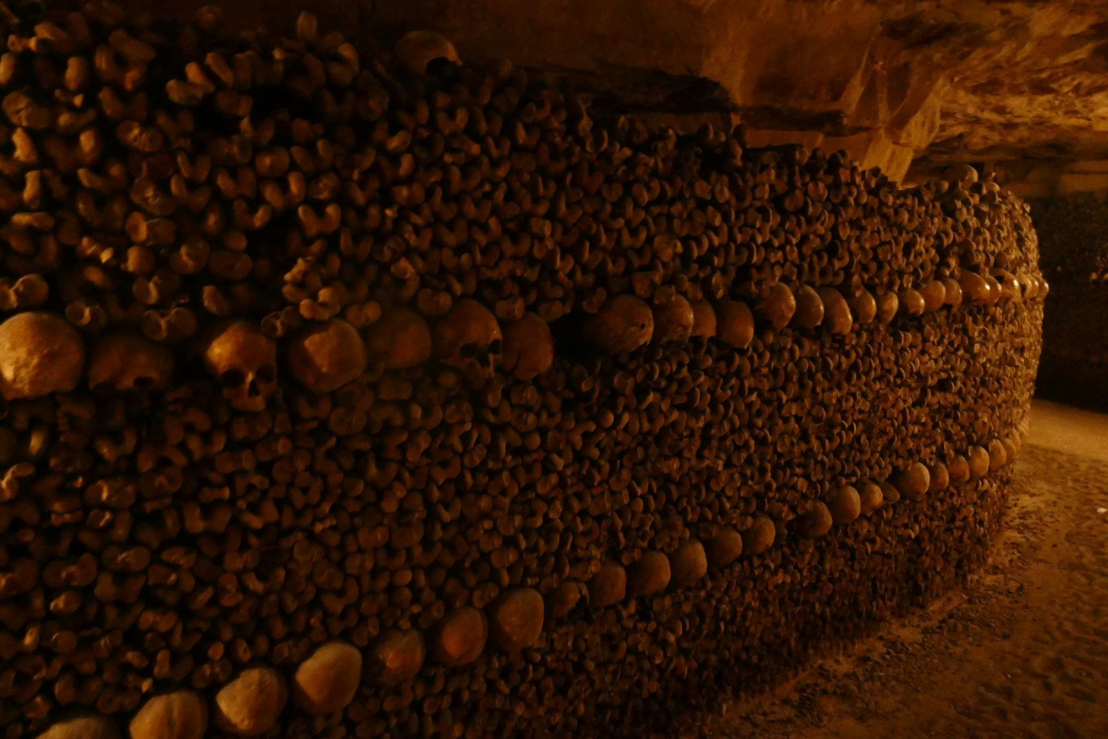 A wall of skulls and femurs in the ossuary of the Paris Catacombs