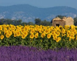 Provence Train Trip from Paris