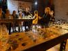Tasting in the caves at Veuve